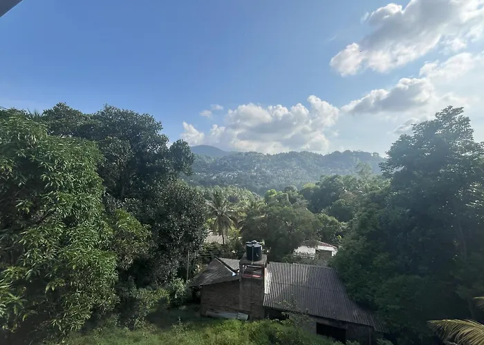 Mountain View Homestay